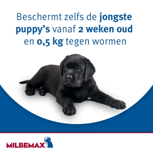 Milbemax Kauwtablet - Afbeelding 4