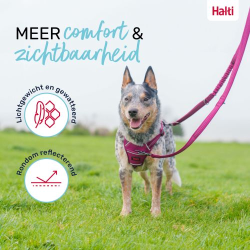 Multi Lijn Anatomy Halti - Afbeelding 4