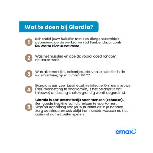 No Worm Diacur Giardiatest - Afbeelding 4