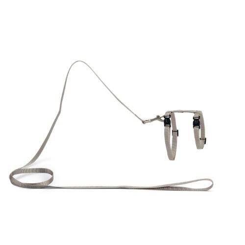 Nylon Kattentuig Uni Lichtgrijs