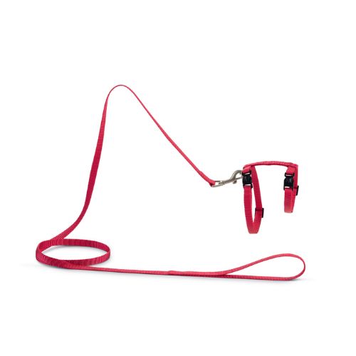 Nylon Kattentuig Uni Roze