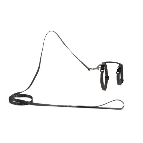 Nylon Kattentuig Uni Donkergrijs