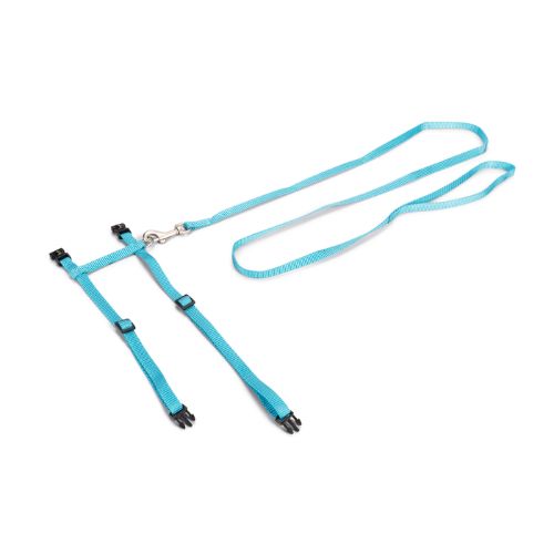 Nylon Kattentuig Uni Blauw