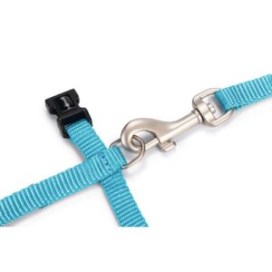 Nylon Kattentuig Uni Blauw