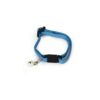Nylon Kittenhalsband Blauw
