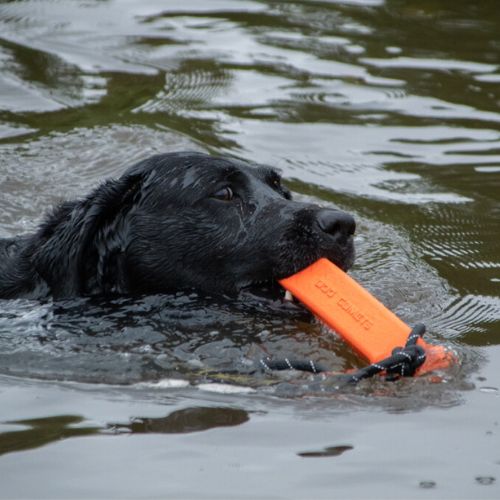 Orion - Afbeelding 6