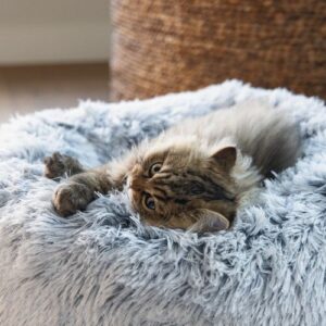 Orthopedische Kattenmand Siba