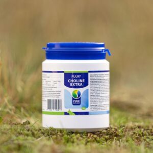 PUUR Choline Extra Hond