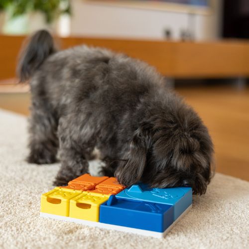 Pawzler Rainbow Set - Afbeelding 4