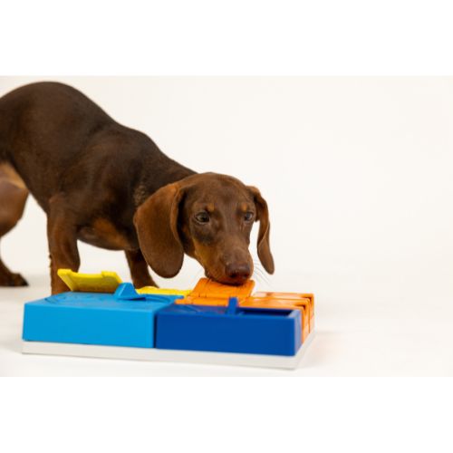 Pawzler Rainbow Set - Afbeelding 6