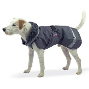 Alternative view of PerusPomppa alledaagse jas