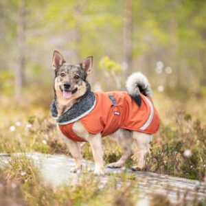 PerusPomppa met Tuigopening