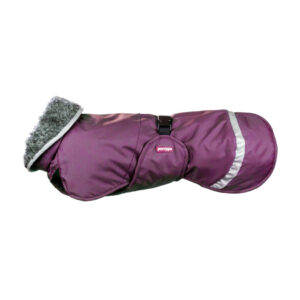 Alternative view of PerusPomppa met Tuigopening