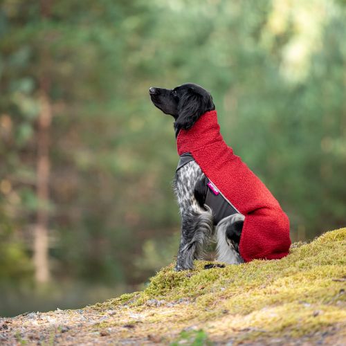 PolarPomppa - Afbeelding 2