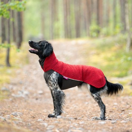 PolarPomppa - Afbeelding 3