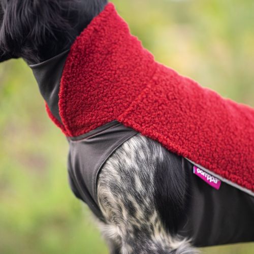 PolarPomppa - Afbeelding 5