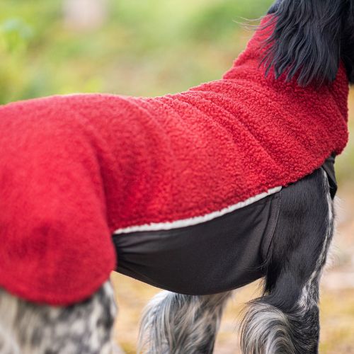 PolarPomppa - Afbeelding 6