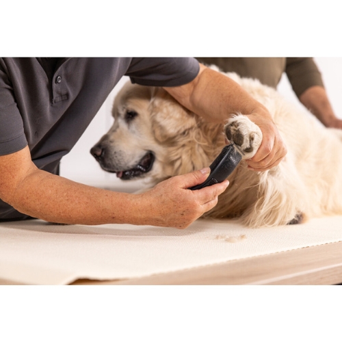 Prima Tondeuse - Afbeelding 4