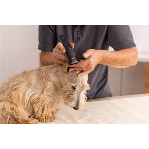 Prima Tondeuse - Afbeelding 5