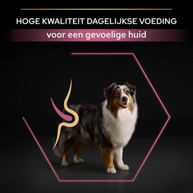 Pro Plan Medium & Large adult 7+ Sensitive Skin met OPTIDERMA® Rijk aan Zalm hondenvoer - Afbeelding 3