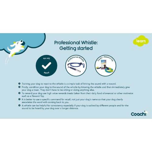 Professionele Fluit - Afbeelding 7