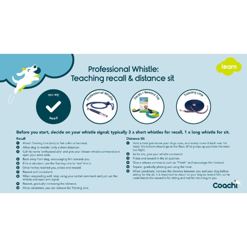 Professionele Fluit - Afbeelding 6