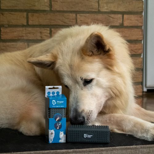 Proper Pets Haar Weg borstel - Afbeelding 5
