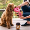 PLAY Pup Cup Café - Doughboy Donut Mini