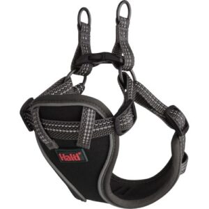Puppy Tuig Anatomy Halti