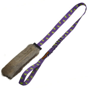 Rabbit Skin Squeaky Bungee Chaser