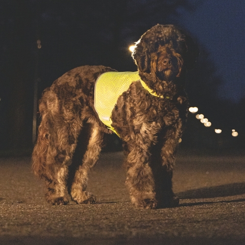 Reflecterend Veiligheidsvest Ava - Afbeelding 3