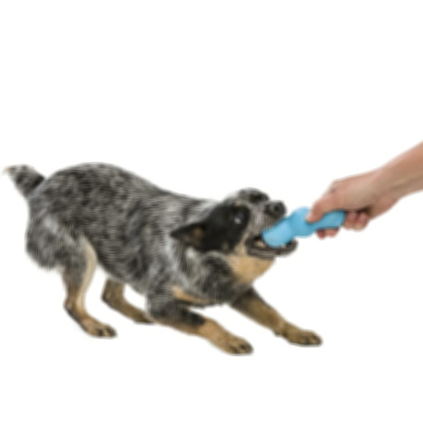 Rumpus - Afbeelding 4