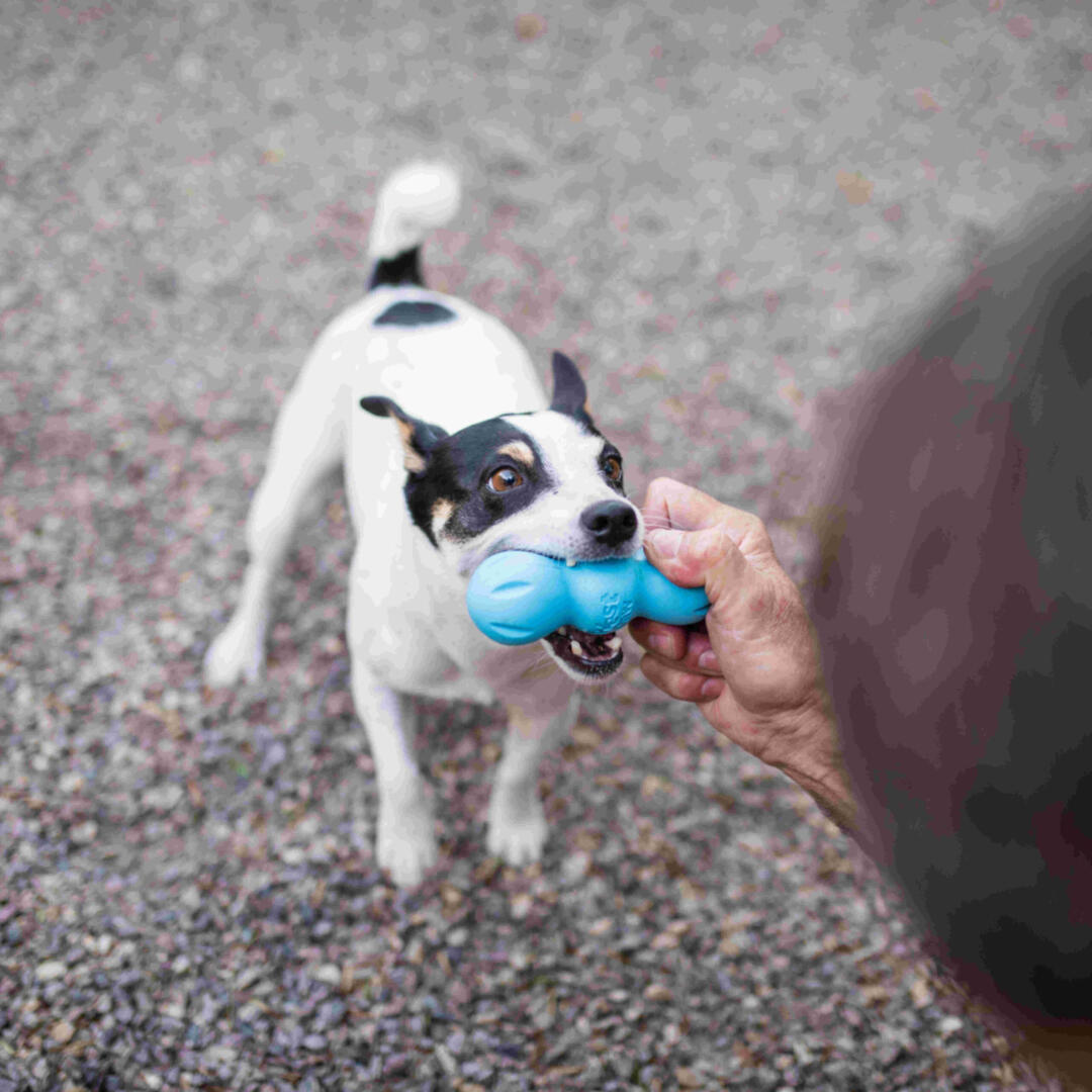 Rumpus - Afbeelding 6