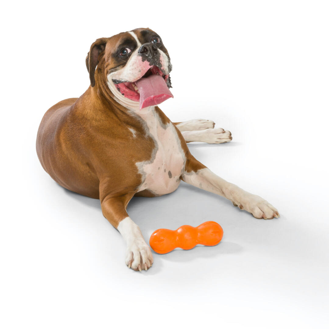 Rumpus - Afbeelding 5