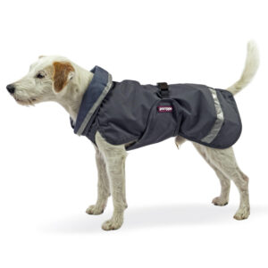 Alternative view of SadePomppa Regenjas