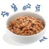 E&C Blikvoeding Adult Salmon & Turkey