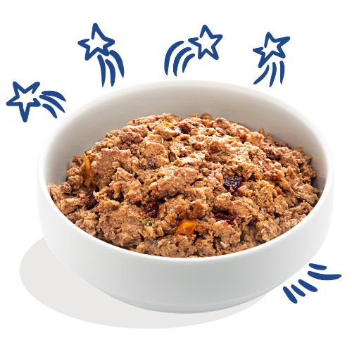 E&C Blikvoeding Adult Salmon & Turkey