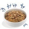 E&C Natvoeding Adult Salmon & Turkey