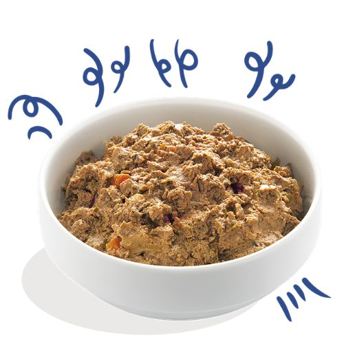 E&C Natvoeding Adult Salmon & Turkey