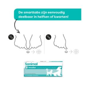 Alternative view of Sanimal Imodiar