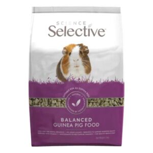Science Selective Guinea Pig - Adult