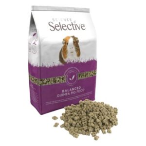 Science Selective Guinea Pig - Adult