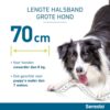 Seresto Hond - Afbeelding 12