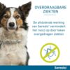 Seresto Hond - Afbeelding 9