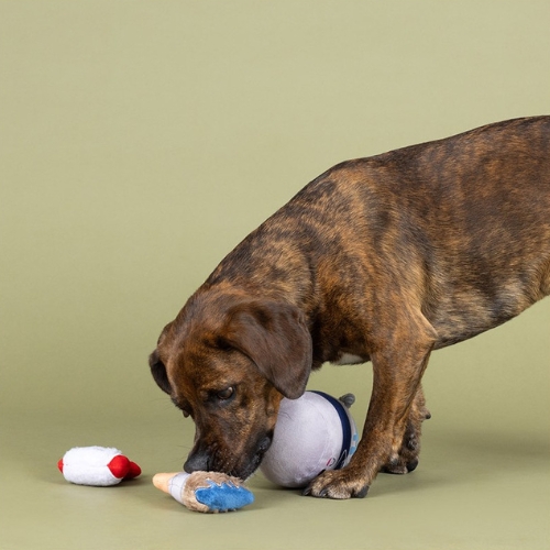 Set Fresh Coat Of Fun - Afbeelding 3