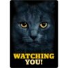 Sign Metal Black Cat's Eyes Watching You