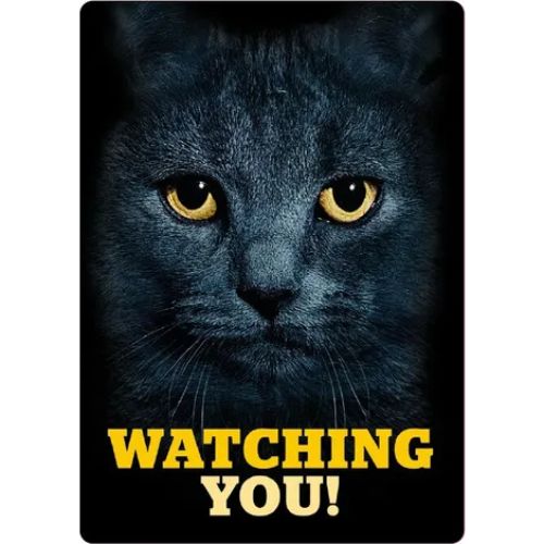 Sign Metal Black Cat's Eyes Watching You