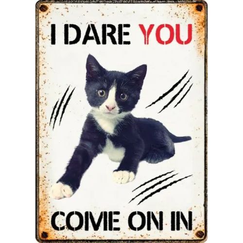 Sign Metal I Dare you come on in Kitten