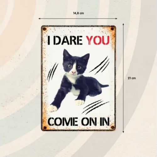 Sign Metal I Dare you come on in Kitten