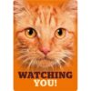Sign Metal Watching You Oranje kat